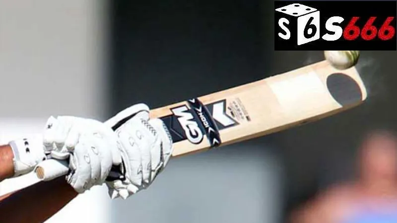 Những chiến lược từ các cao thủ cá cược bóng gậy S666