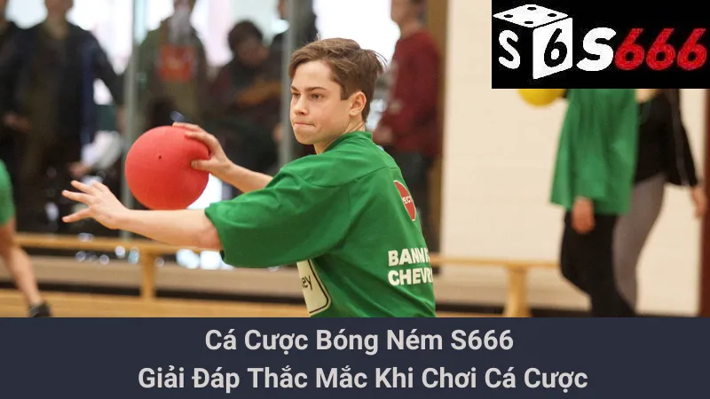 Cá Cược Bóng Ném S666 - Giải Đáp Thắc Mắc Khi Chơi Cá Cược 1 Cá Cược Bóng Ném S666 - Giải Đáp Thắc Mắc Khi Chơi Cá Cược