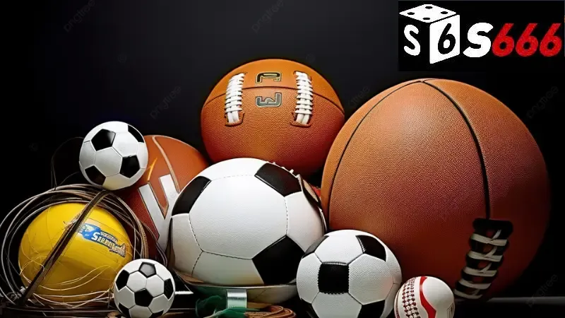 Tầm quan trọng của chuyên mục thể thao S666